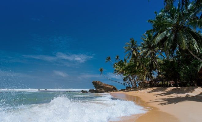 plage île