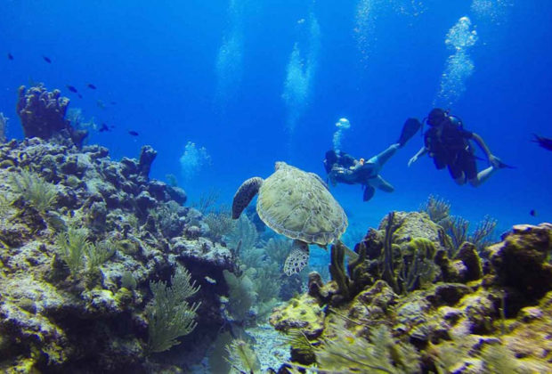 plongée sous marine