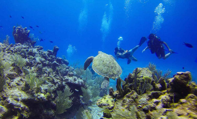 plongée sous marine