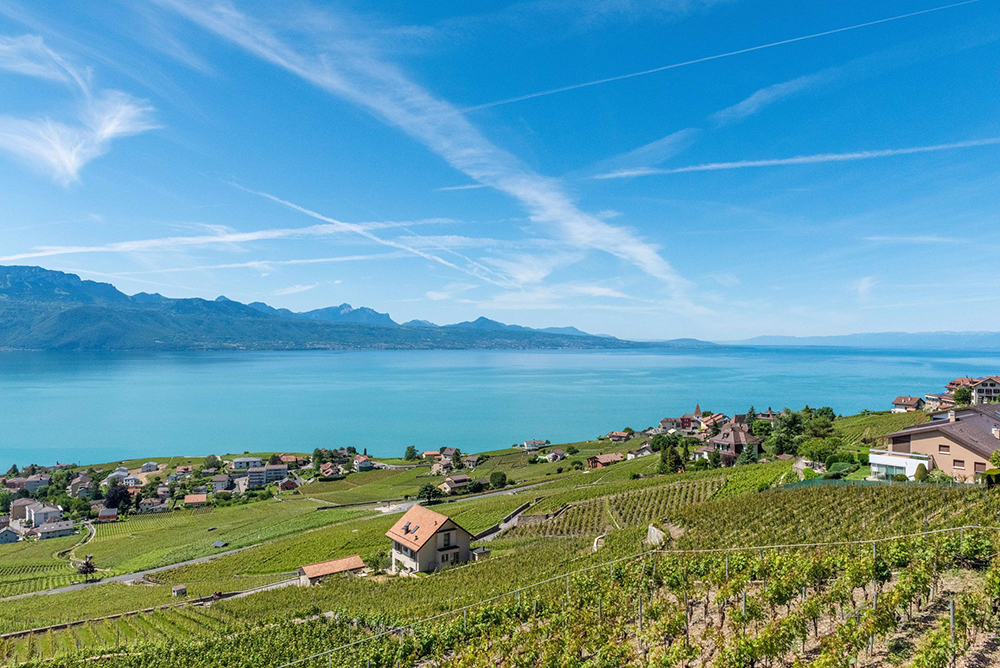 randonnée Lavaux