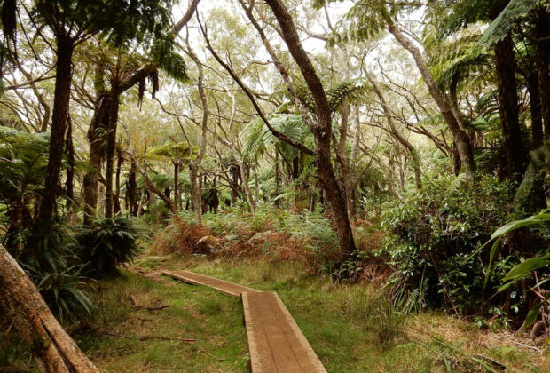 randonnées La Réunion