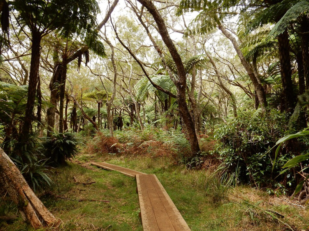 randonnées La Réunion