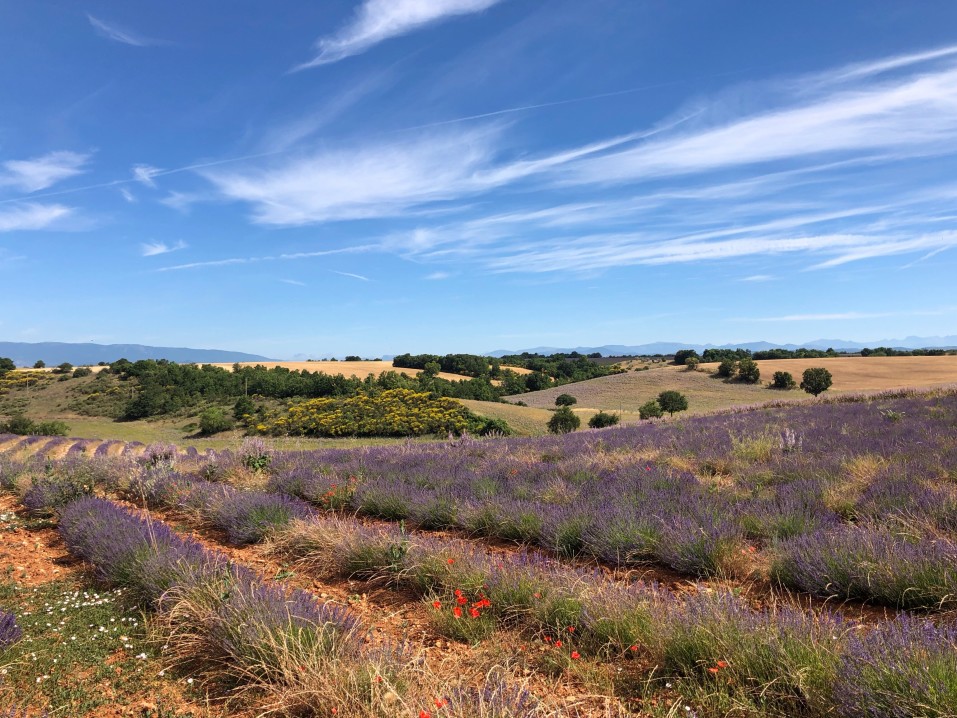 séjour en Provence