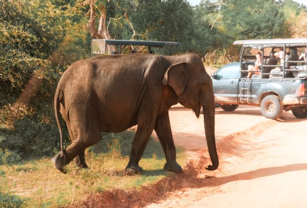 Explorer Tanzanie