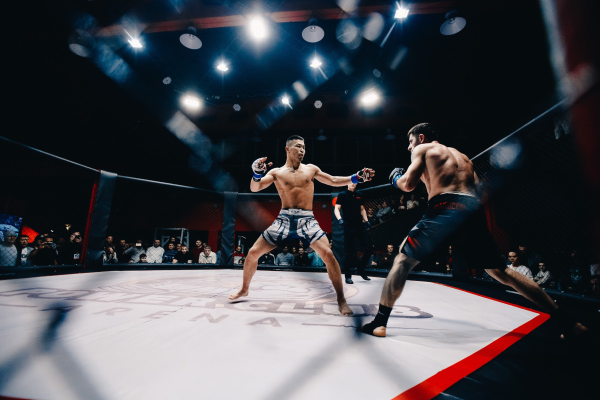 sport MMA