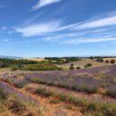 séjour en Provence