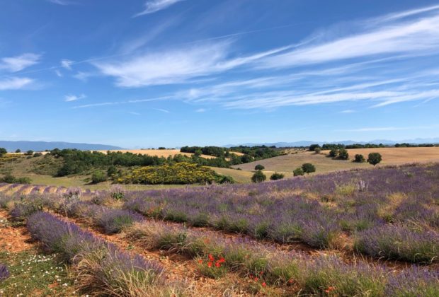 séjour en Provence