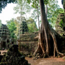 temple de Ta Prohm