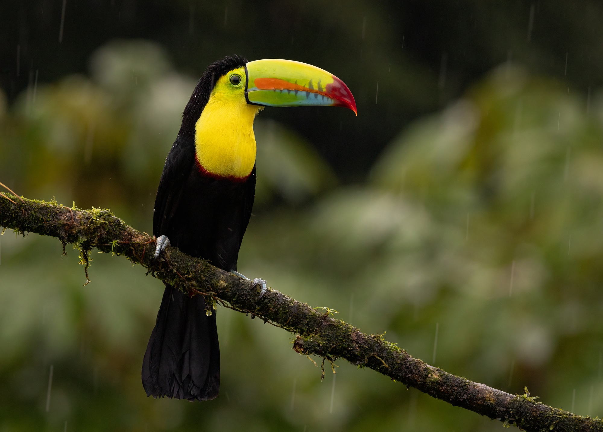 Costa Rica