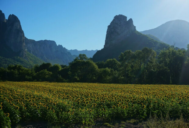 vacances en Drôme provençale