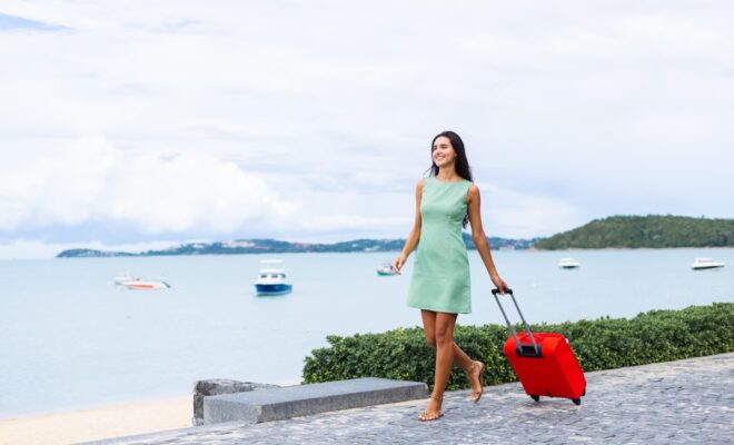 valise croisière