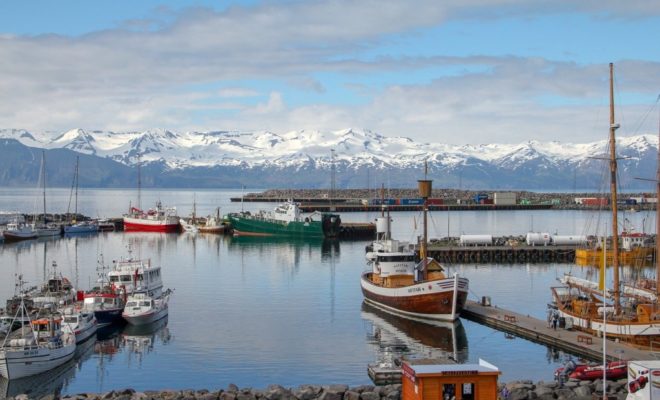 voilier dans l'arctique