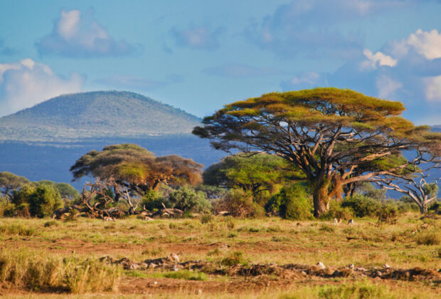 voyage Afrique du Sud