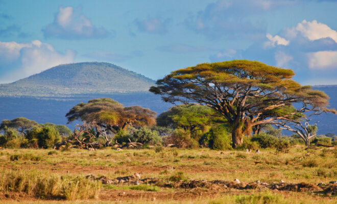 voyage Afrique du Sud