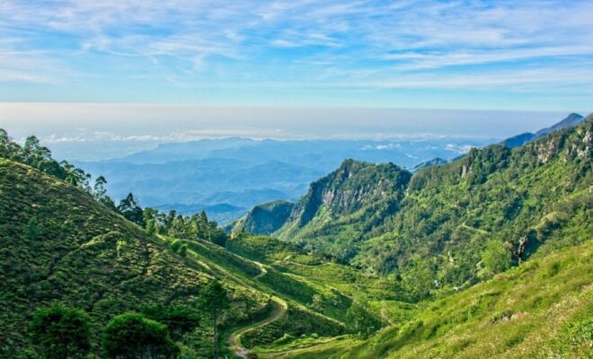 voyage au Sri-Lanka