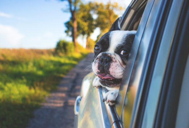 voyage en voiture