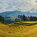 voyage sur mesure Vietnam