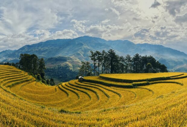 voyage sur mesure Vietnam