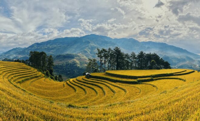 voyage sur mesure Vietnam