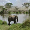 voyage tanzanie