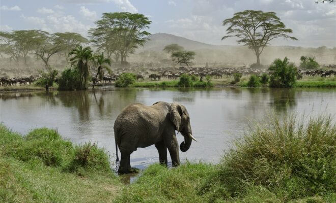 voyage tanzanie